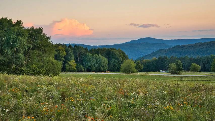 Ferienwohnung für 2 Personen, mit Garten in Main-Odenwald - 4