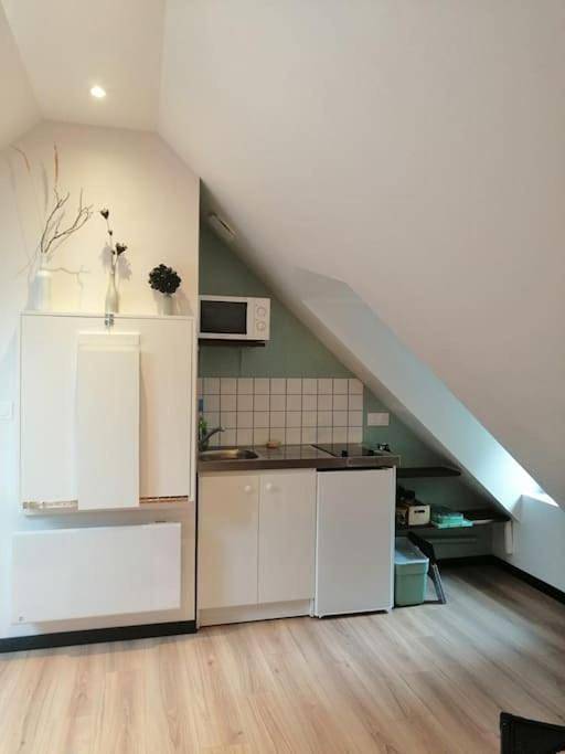 Gîte pour 2 personnes, avec jardin ainsi que balcon et vue à La Ménitré - 4