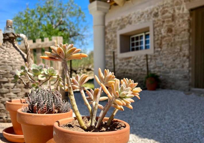 Apartamento de vacaciones para 2 personas, con jardín además de piscina y vistas en Alentejo - 4