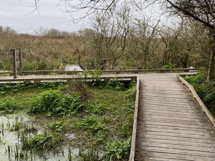 Location de vacances pour 6 personnes à Sarzeau - 2