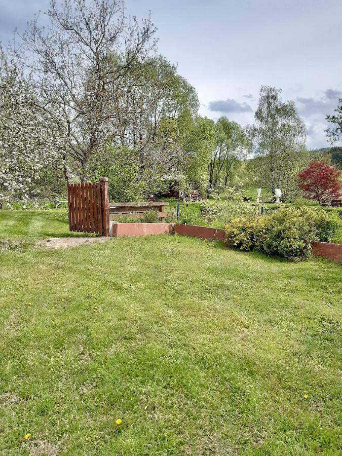 Gîte pour 3 personnes, avec jardin à Ban-de-Sapt - 4