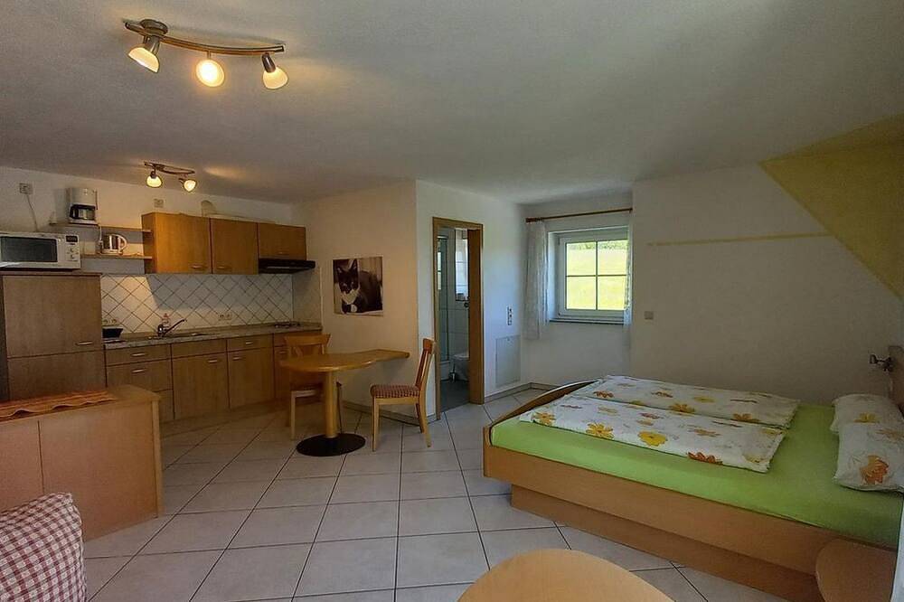 1 Zi. Apartment Apfel - Ferienhof Metzler in Bodnegg, Region Bodensee-Oberschwaben