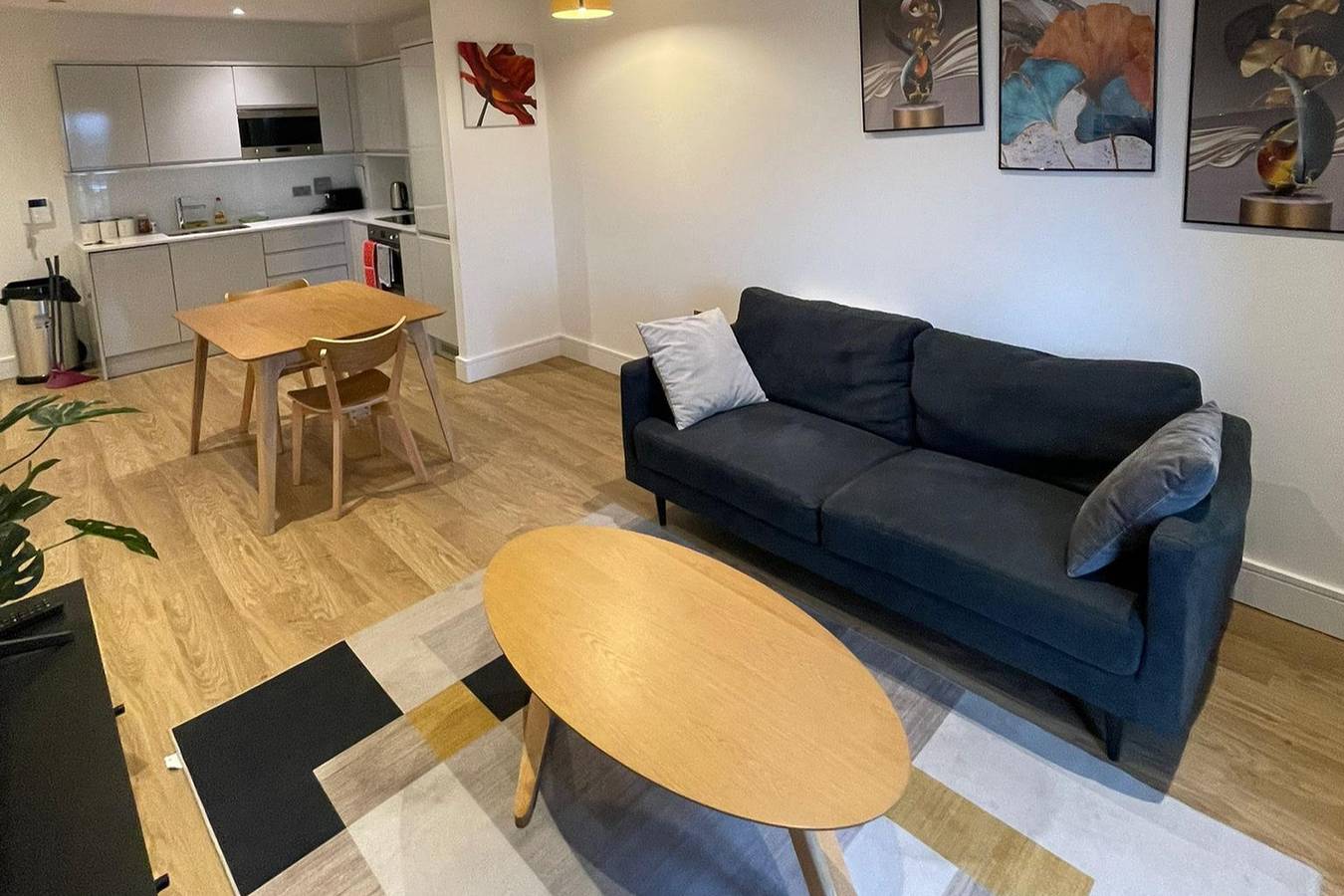 Entire holiday apartment, 1 Bed Apartment- Sleeps 2, Parking, Pets Allowed in Birmingham, Birmingham Area