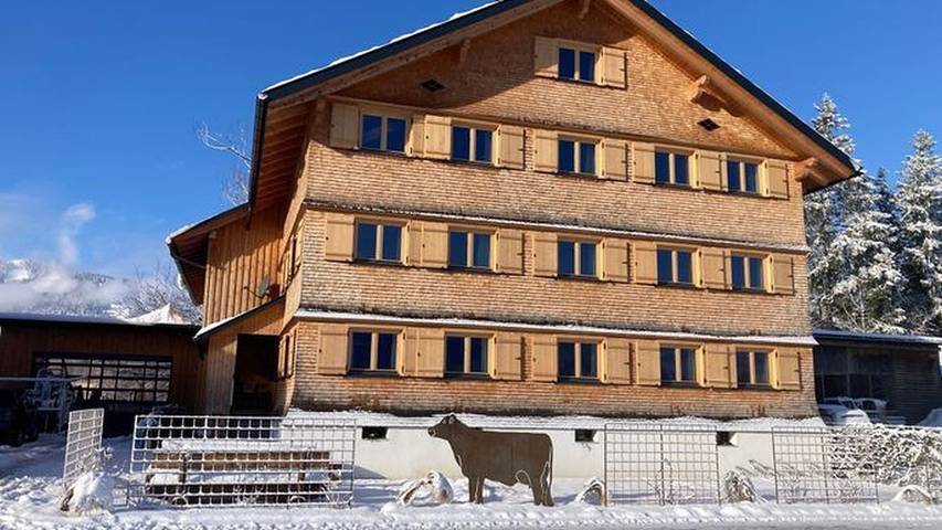 Ferienwohnung für 6 Personen, mit Garten und Ausblick, kinderfreundlich in Andelsbuch