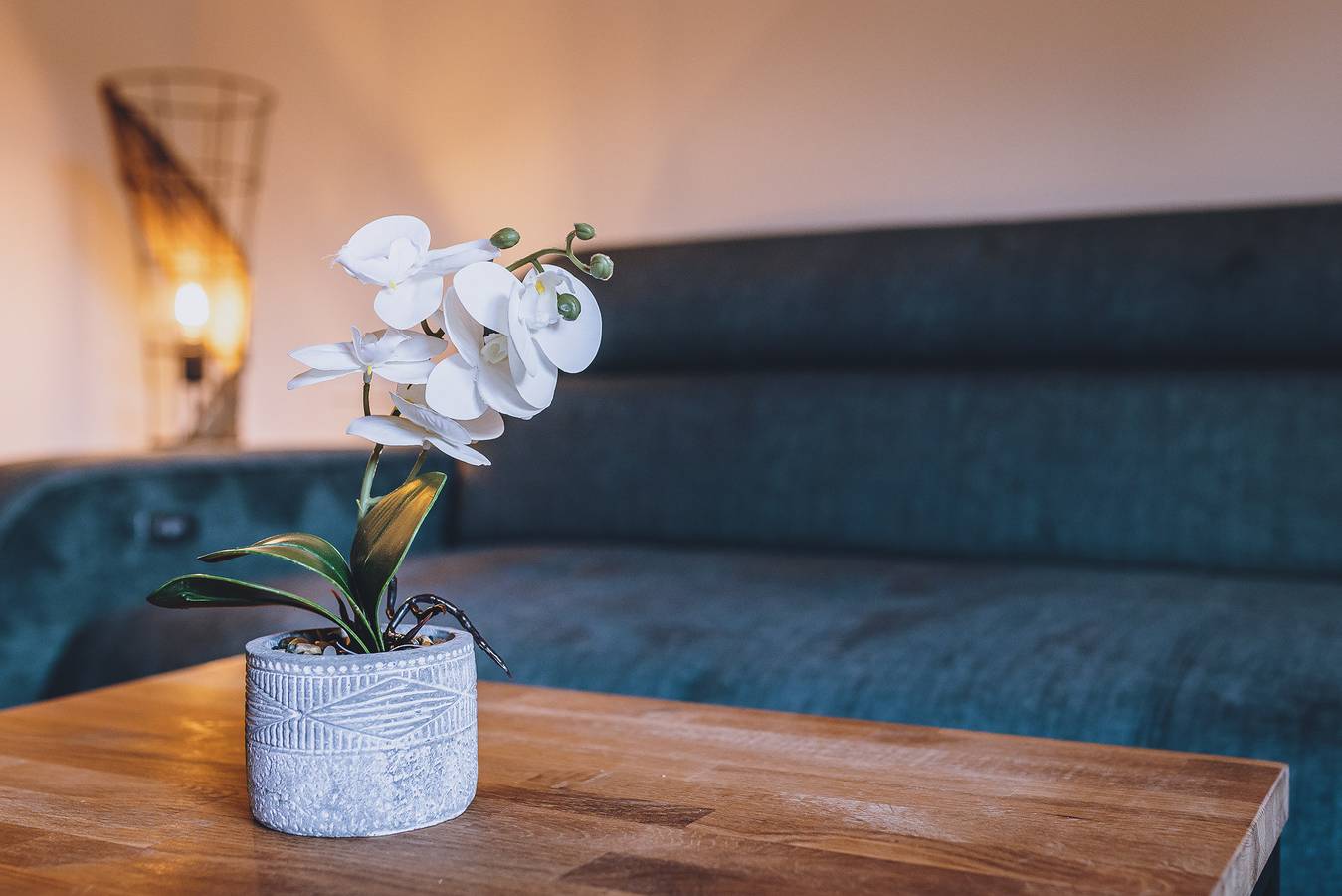 Ganze Wohnung, Premium Apartments Areit - Penthouse in Zell am See, Pinzgau