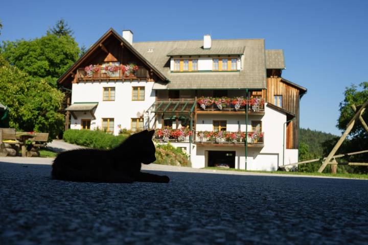 Sternenwohnung (ab 3 Nächte mit Frühstück) in Steirerland