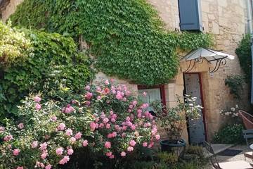 Gîte pour 4 personnes, avec terrasse et jardin, animaux acceptés à Les Eyzies-de-Tayac-Sireuil