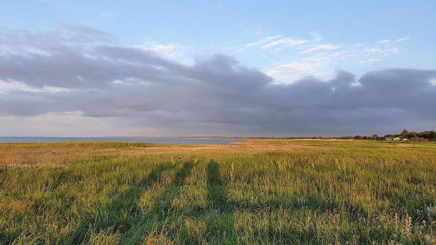 Ferienhaus für 15 Personen, mit Sauna und Pool sowie Terrasse und Whirlpool in St. Sjørup - 4