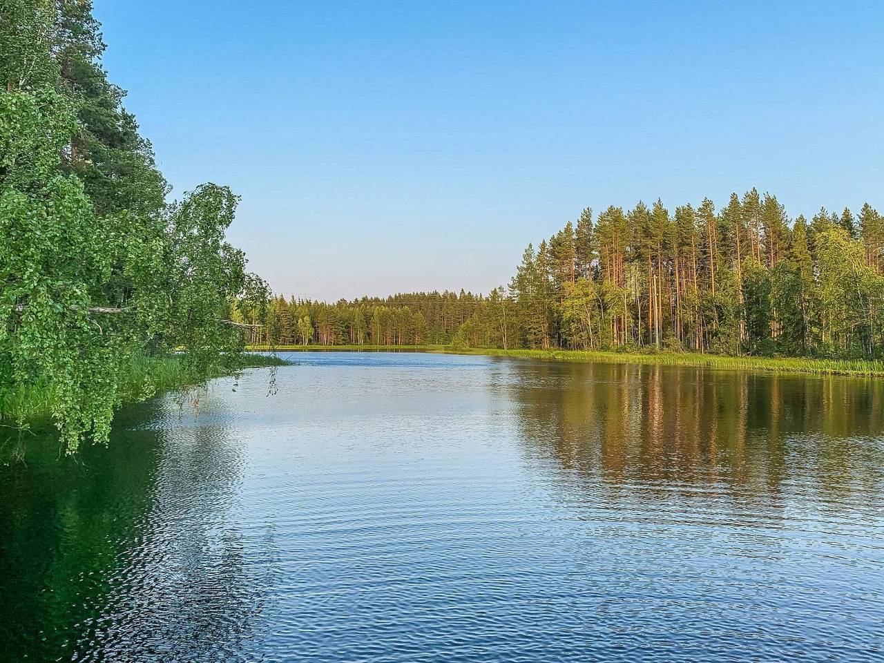 Majavanpesä in Pieksämäki, Südsavo
