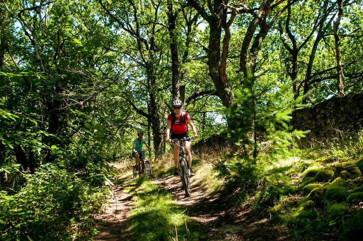 Location de vacances pour 6 personnes, avec jardin et piscine, animaux acceptés dans Saint-Geniez-d'Olt-et-d'Aubrac - 4