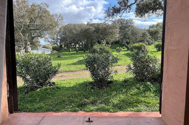 Ferienhaus für 2 Personen, mit Haustier