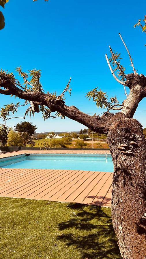 Agriturismo per 5 persone, con Giardino e Piscina nonché Panorama a Martina Franca