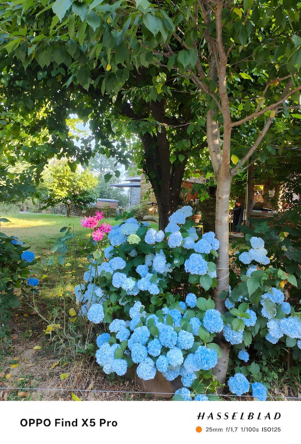 1. Etage: Zimmer „Le Rocher de l'Aigle“ 15 m² in Saumane, Cevennen