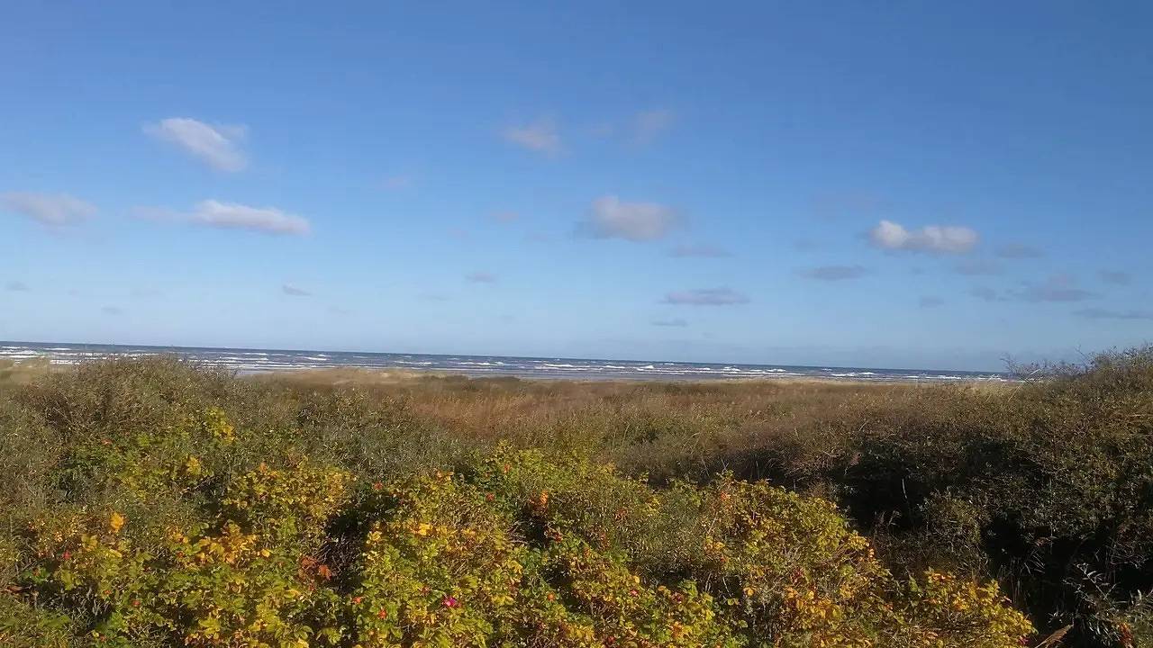 Ferienhaus für 6 Personen (60 m²) in Bindslev in Tversted, Tannisbucht