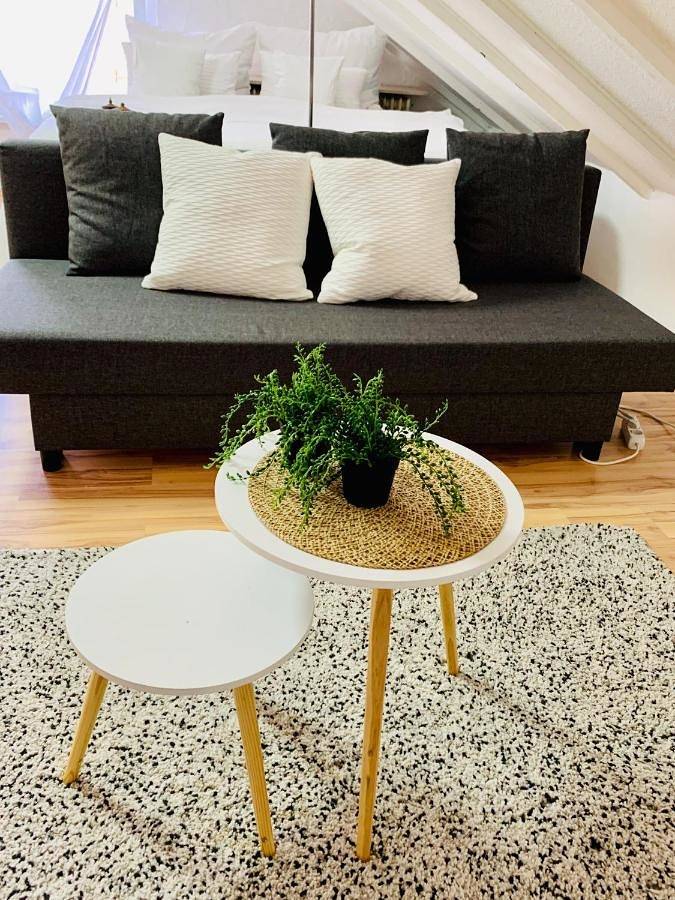 Gîte pour 3 personnes, avec vue à Homburg - 4