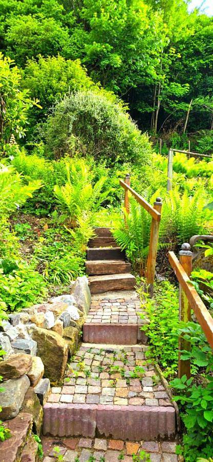 Ferienhaus für 7 Personen, mit Ausblick und Sauna sowie Garten, mit Haustier in Seesen - 3