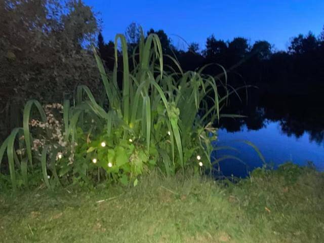 Gîte pour 4 personnes, avec jardin et jacuzzi à Maintenon - 2