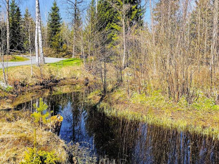 Semesterhus intill dammen, Bodafors in Norra Sandsjö distrikt, Jönköpings län