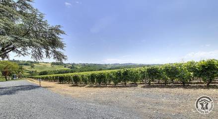 Gîte pour 6 Personnes dans Pommiers, Région de Villefranche-sur-Saône, Photo 1