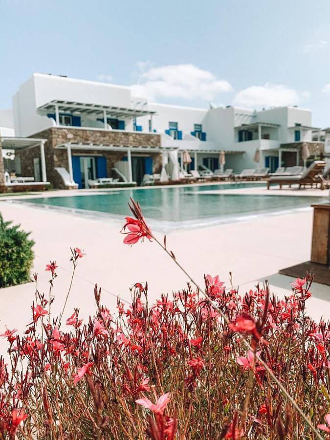 Chambre d’hôte pour 3 personnes, avec vue ainsi que jardin et piscine, animaux acceptés dans Mykonos - 3