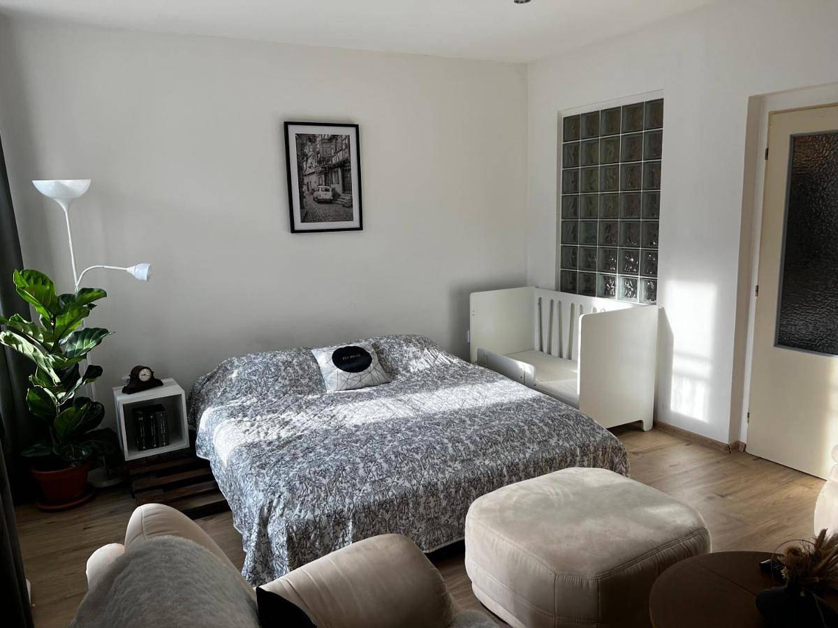 Appartement entier, Útulný apartmán v historickém centru města Písek in Písek, Région de Písek