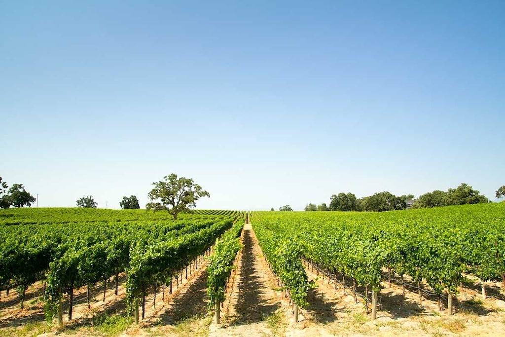 Gravenstein Getaway- Sebastopol in California North Coast