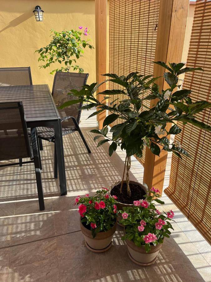 Gîte pour 4 personnes, avec terrasse et vue à Bagheria - 4