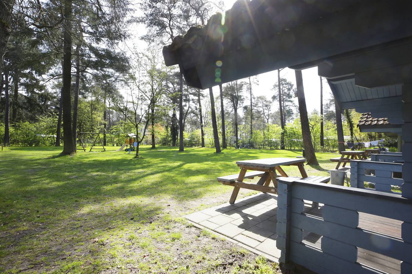 Cabane en bois pour 4 personnes avec piscine in Bergeijk, Brabant-Septentrional