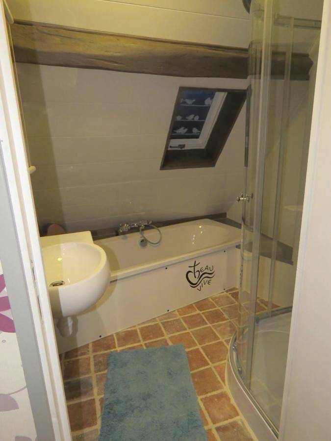 Chambre d’hôte pour 3 personnes, avec terrasse et jardin ainsi que piscine et vue, animaux acceptés dans Parc naturel régional de la Brenne - 3