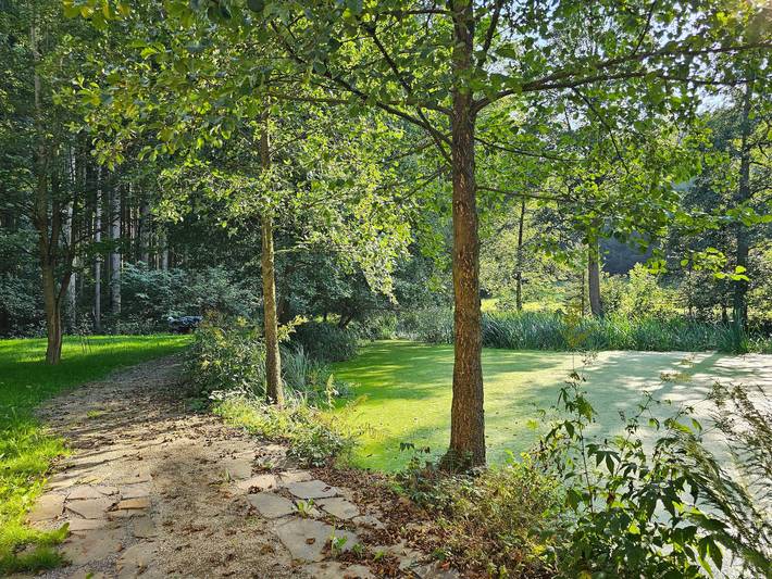 Entire apartment, Apartment "Schwarzmühle 3" with Lake View, Private Garden and Wi-Fi in Börnichen, Ore Mountains