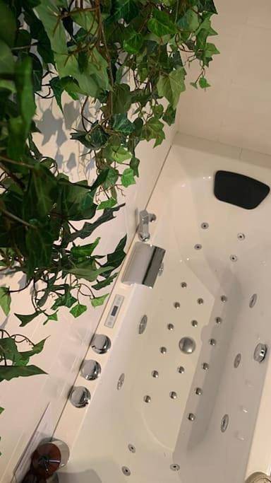 Gîte pour 4 personnes, avec jacuzzi, animaux acceptés à Tourcoing - 4