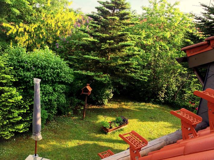 Ferienhaus für 5 Personen, mit Garten in Goslar - 3