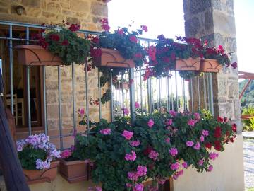 Studio voor 3 Personen in Zuid-Kreta, Kreta, Afbeelding 3