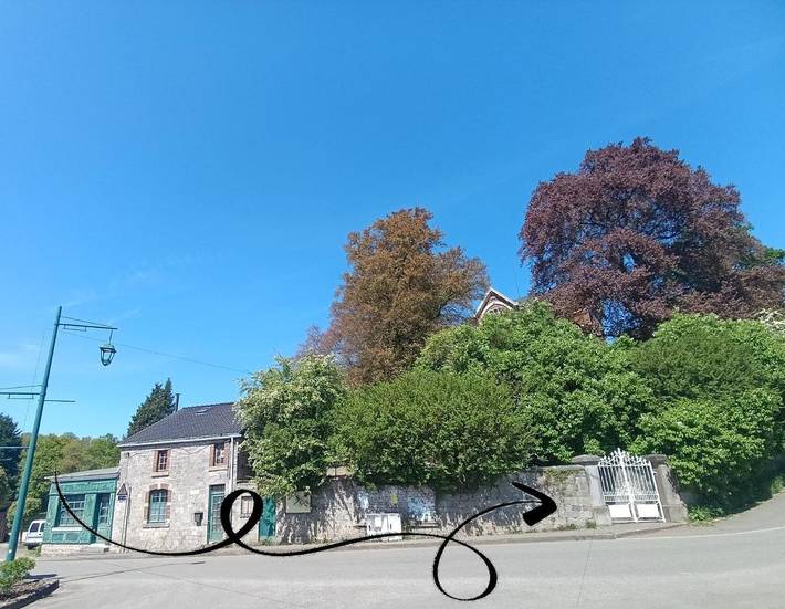 Chambre d’hôte pour 8 personnes, avec jardin ainsi que piscine et vue en Belgique - 3