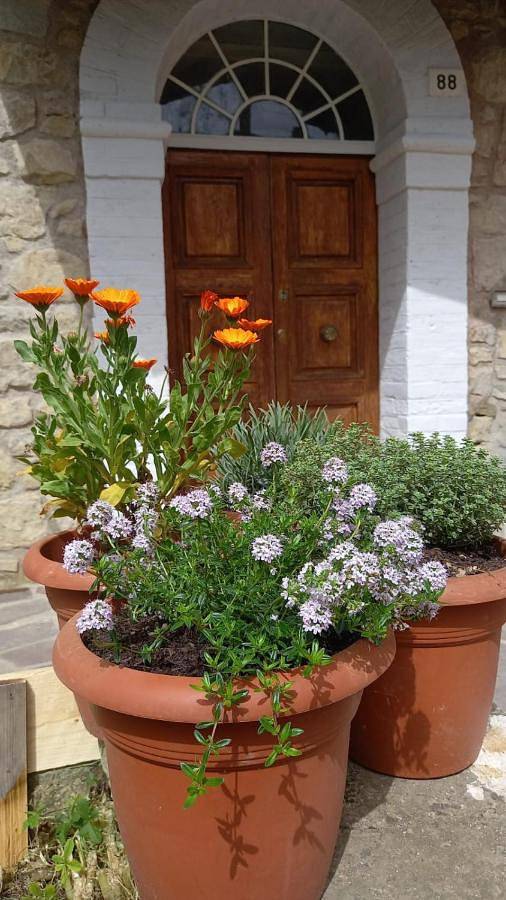 Location de vacances pour 3 personnes, avec jardin à Camugnano
