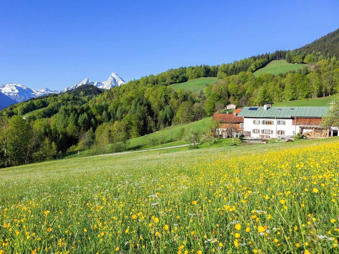 Ganze Wohnung, Bauernhof Vorderstiedler in Berchtesgaden, Berchtesgadener Alpen