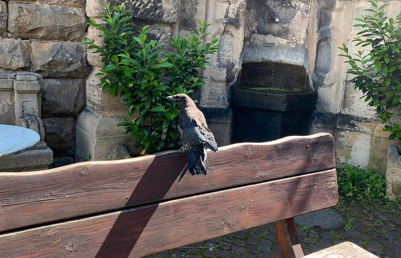 Apartamento vacacional entero, Ferienzimmer Tübingen - Ferienzimmer Tübingen in Tubinga, Neckar-Alb