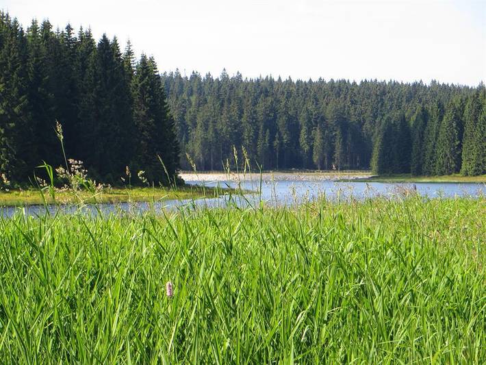 Pension für 2 Personen, mit Sauna im Erzgebirge