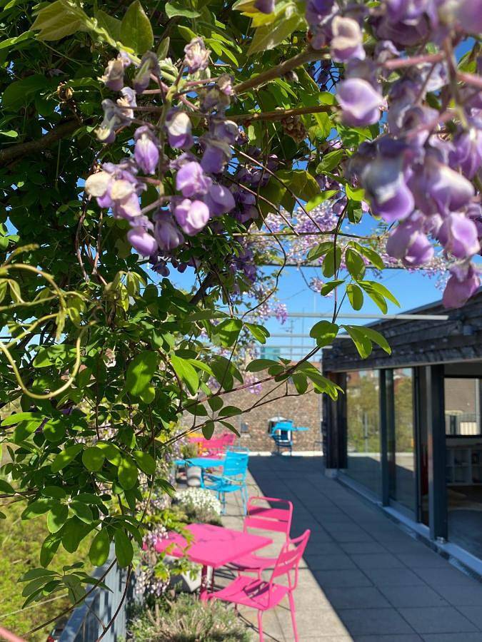 BnB für 2 Personen, mit Terrasse und Ausblick in Zürich