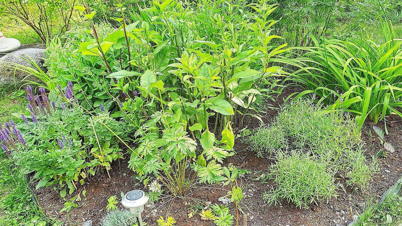 Ferienhaus für 6 Personen (85 m²) in Blidö in Blidö