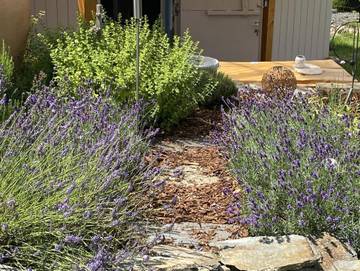 Ferienhaus für 4 Personen in Morbach, Bernkastel-Kues & Umgebung, Bild 4
