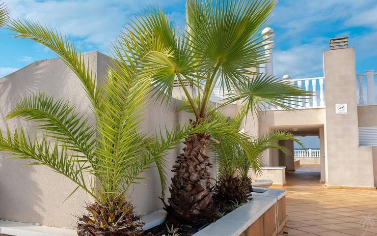 Gîte pour 2 personnes, avec piscine ainsi que balcon et vue dans Formentera De Segura - 2