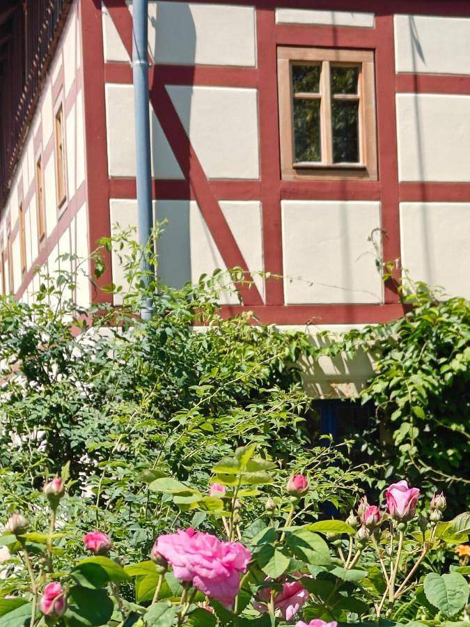 Urlaub im 200 Jahre alten Fachwerkhaus in Kirnitzschtal, Sebnitz