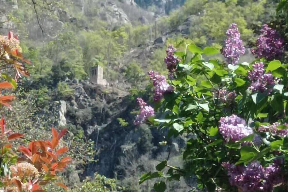 Les chalets Quazemi à Casteil locations de vacances in Casteil, Parc naturel régional des Pyrénées catalanes