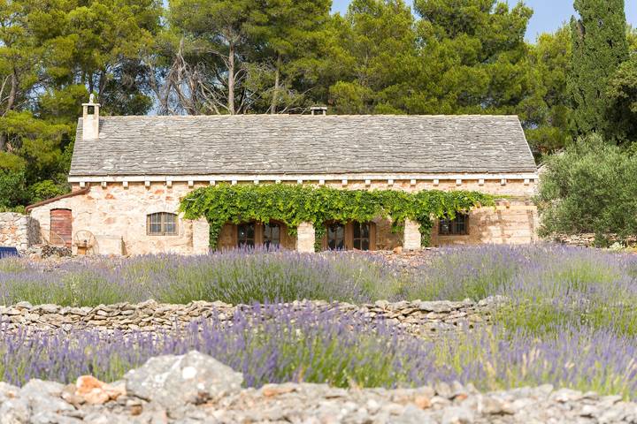 Location de vacances pour 8 personnes, avec balcon/terrasse, animaux acceptés à Jelsa - 4
