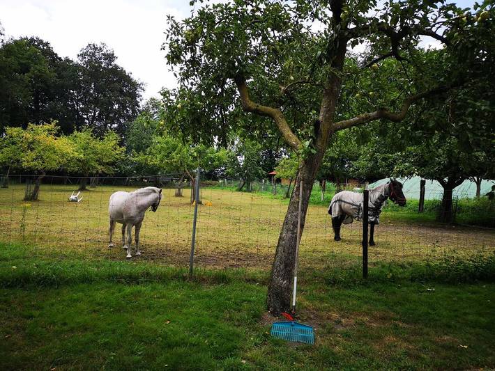 Ferienwohnung, mit Garten im Münsterland - 3
