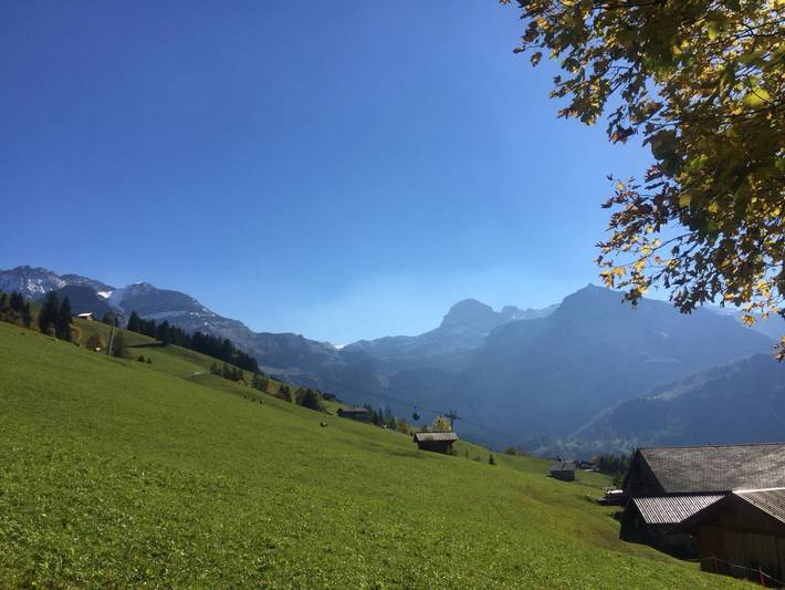 Ganze Wohnung, Meieli in Lenk, Frutigen - Lenk - Adelboden