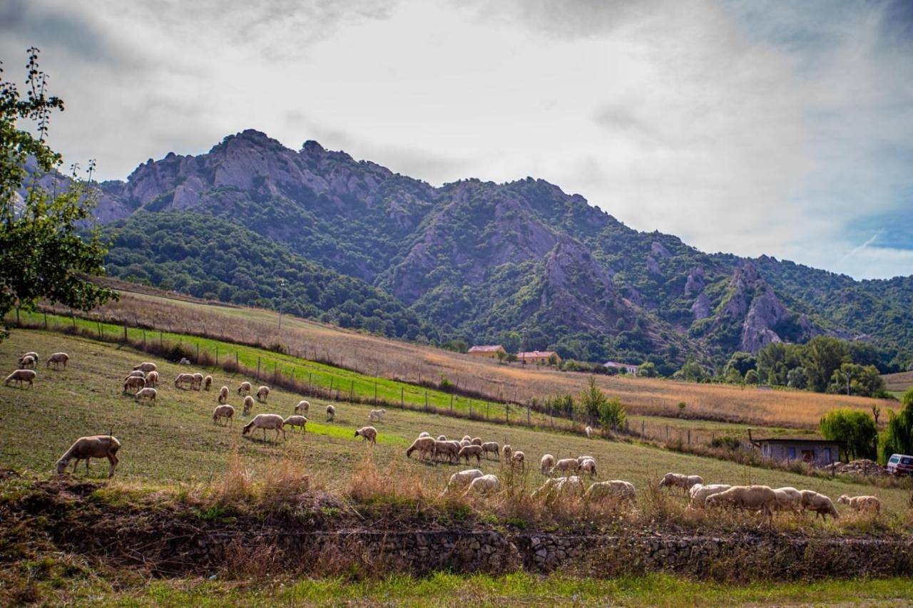 Spazio Natura in Castelmezzano, Dolomiti Lucane