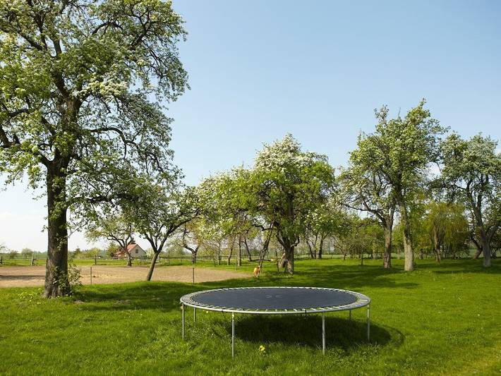 Ferienhaus für 6 Personen, mit Garten in Walow - 4