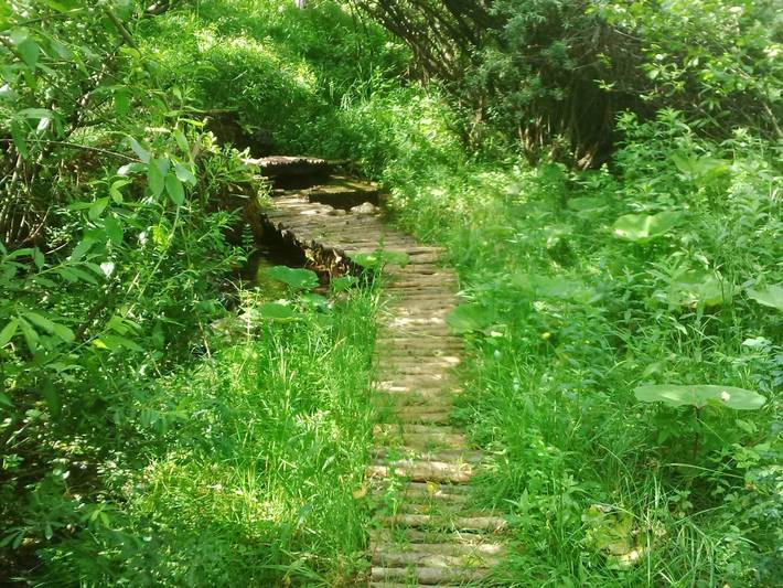 Ferienhaus für 4 Personen, mit Garten und Terrasse, mit Haustier an den Plitvicer Seen - 4
